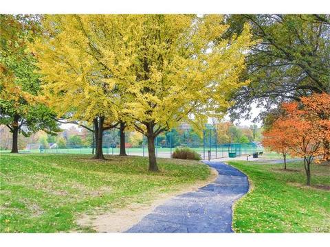 519 E Jackson, Saint Louis, MO 63119 photo 35