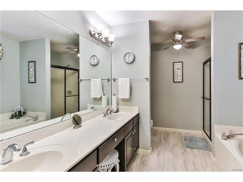 519 E Jackson, Saint Louis, MO 63119 photo 19