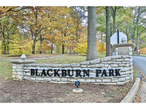519 E Jackson, Saint Louis, MO 63119 photo 30
