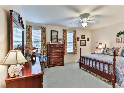 519 E Jackson, Saint Louis, MO 63119 photo 21
