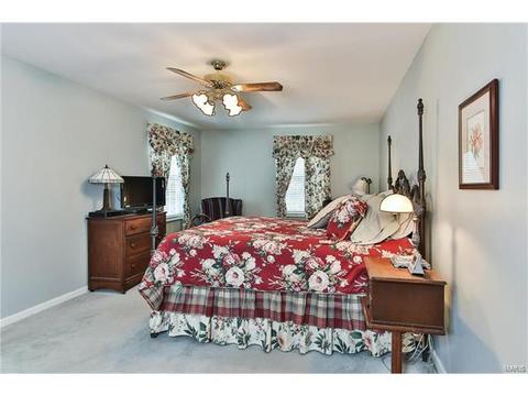 519 E Jackson, Saint Louis, MO 63119 photo 18