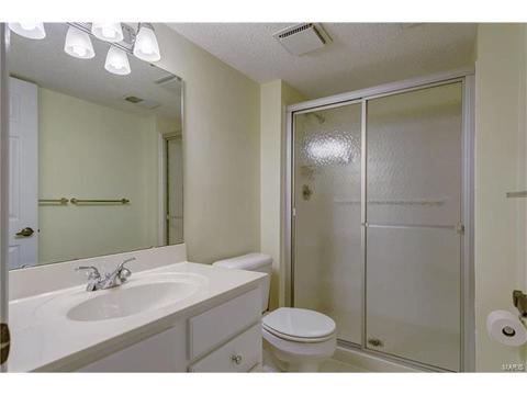 2144 Mason Lake Dr, Ballwin, MO 63011 photo 26