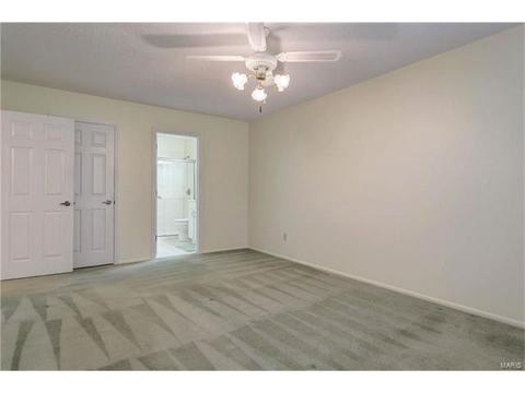 2144 Mason Lake Dr, Ballwin, MO 63011 photo 17