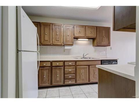 2144 Mason Lake Dr, Ballwin, MO 63011 photo 8