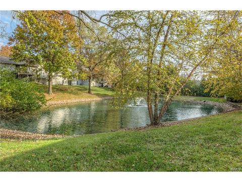 2144 Mason Lake Dr, Ballwin, MO 63011 photo 28
