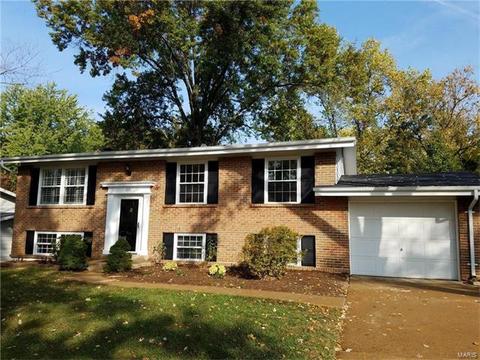 1071 Briarhurst Dr, Manchester, MO 63021 photo 1