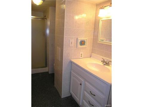 404 Brass Lamp Dr, Ballwin, MO 63011 photo 23
