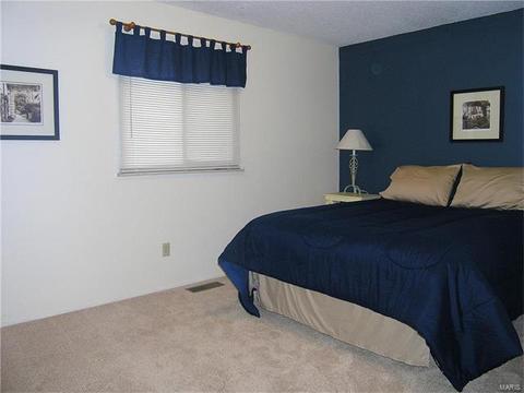 404 Brass Lamp Dr, Ballwin, MO 63011 photo 17