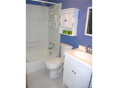 404 Brass Lamp Dr, Ballwin, MO 63011 photo 18