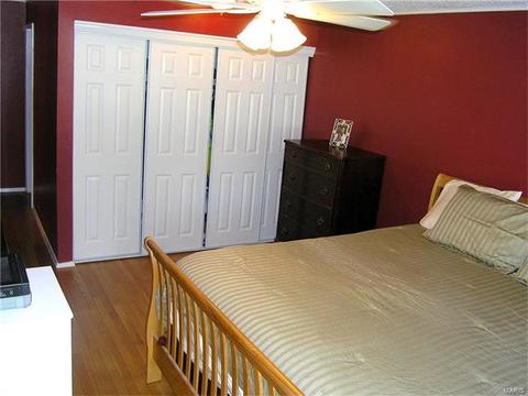404 Brass Lamp Dr, Ballwin, MO 63011 photo 13