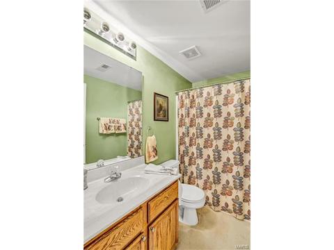 9 Quillpen Ct, O'fallon, MO 63366 photo 24