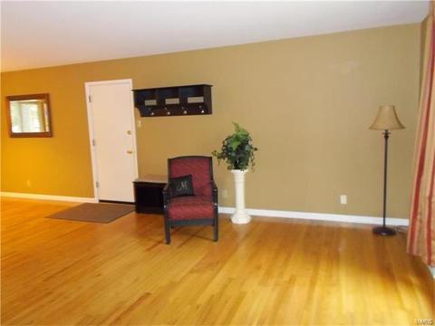 512 Williams, Eureka, MO 63025 photo 6