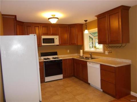 512 Williams, Eureka, MO 63025 photo 11
