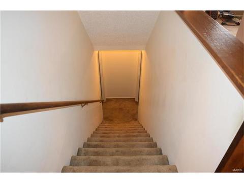 959 Silversprings Ln, Manchester, MO 63021 photo 20
