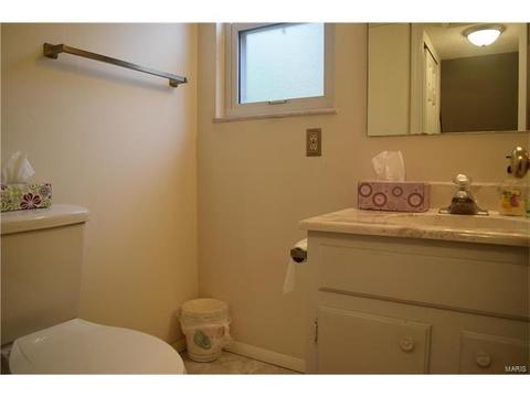 959 Silversprings Ln, Manchester, MO 63021 photo 13