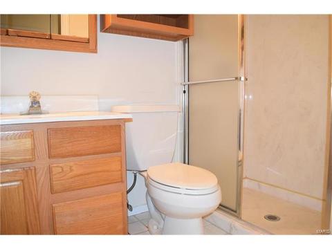 959 Silversprings Ln, Manchester, MO 63021 photo 16
