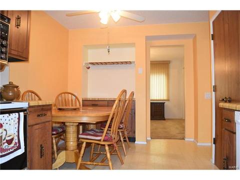 959 Silversprings Ln, Manchester, MO 63021 photo 10