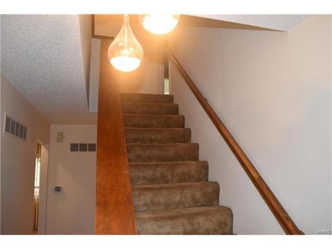959 Silversprings Ln, Manchester, MO 63021 photo 14