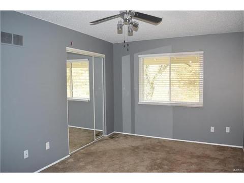 959 Silversprings Ln, Manchester, MO 63021 photo 15