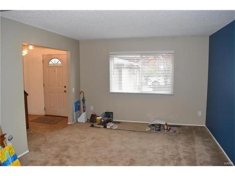 959 Silversprings Ln, Manchester, MO 63021 photo 6