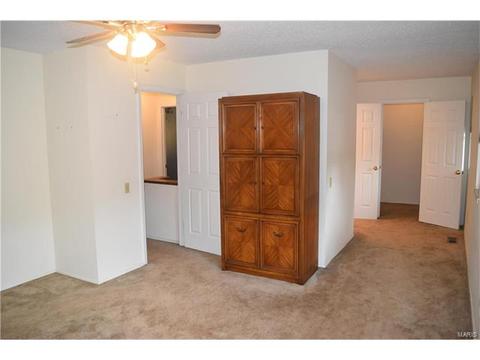 959 Silversprings Ln, Manchester, MO 63021 photo 18