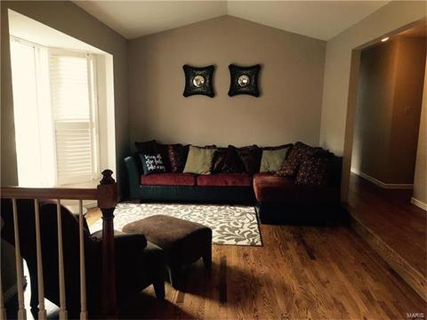 16752 Babler View Dr, Wildwood, MO 63011 photo 8