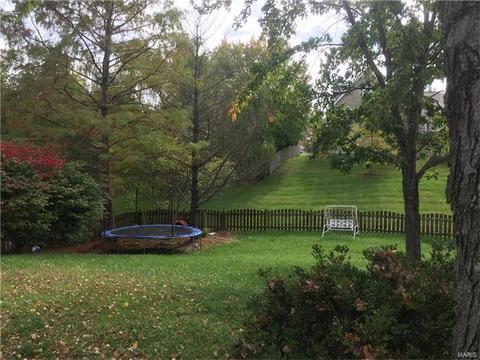 16752 Babler View Dr, Wildwood, MO 63011 photo 5
