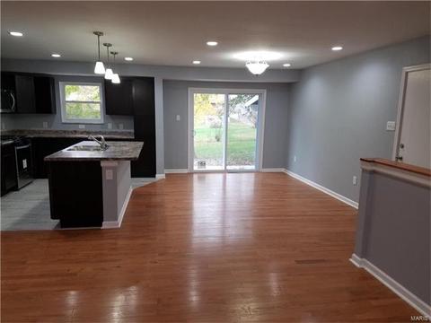 3985 Jane Ave, Saint Ann, MO 63074 photo 9