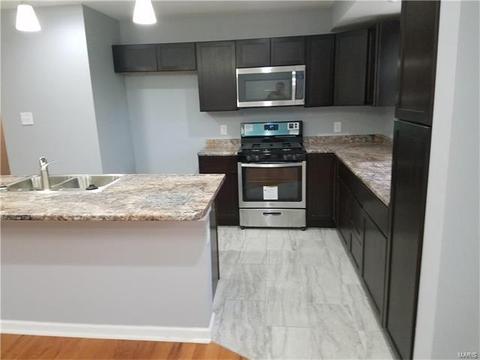 3985 Jane Ave, Saint Ann, MO 63074 photo 4