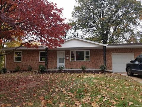 3985 Jane Ave, Saint Ann, MO 63074 photo 17