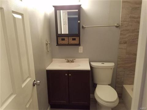 3985 Jane Ave, Saint Ann, MO 63074 photo 8