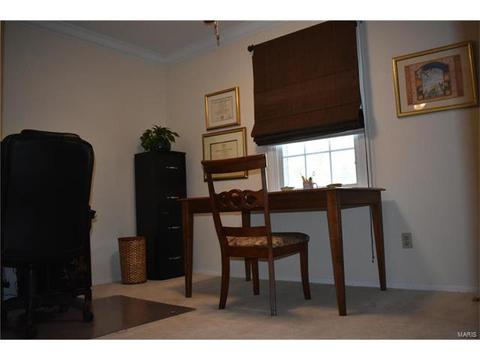 1378 Thornwick Dr, Ballwin, MO 63011 photo 27