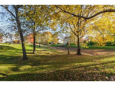 7212 Sweetcider Ln, O'fallon, MO 63368 photo 46