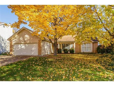 7212 Sweetcider Ln, O'fallon, MO 63368 photo 48