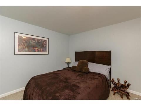 7212 Sweetcider Ln, O'fallon, MO 63368 photo 34