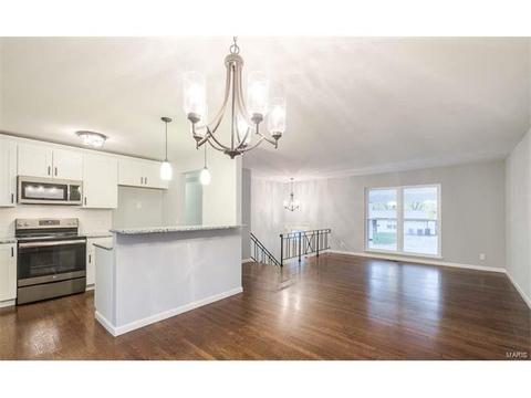 3369 Bristol Hall, Bridgeton, MO 63044 photo 10