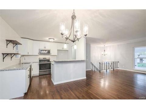 3369 Bristol Hall, Bridgeton, MO 63044 photo 9