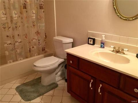 215 Spring Oaks Dr, Ballwin, MO 63011 photo 22