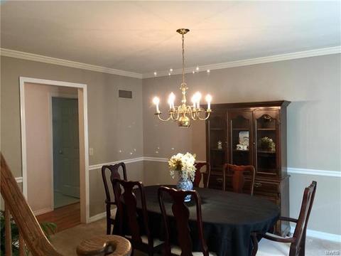 215 Spring Oaks Dr, Ballwin, MO 63011 photo 11