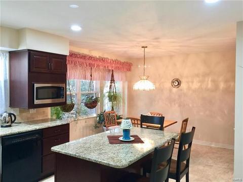 215 Spring Oaks Dr, Ballwin, MO 63011 photo 15