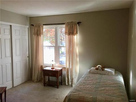 215 Spring Oaks Dr, Ballwin, MO 63011 photo 19