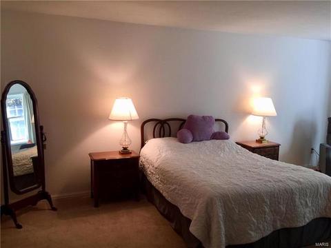 215 Spring Oaks Dr, Ballwin, MO 63011 photo 25
