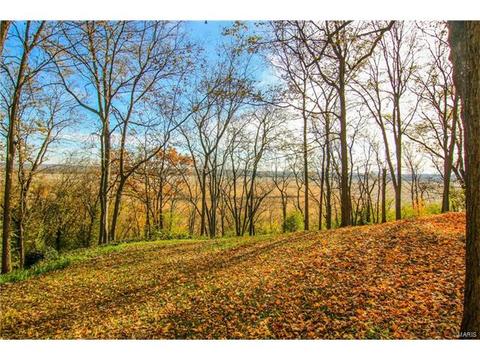 5608 Main St, Augusta, MO 63332 photo 28
