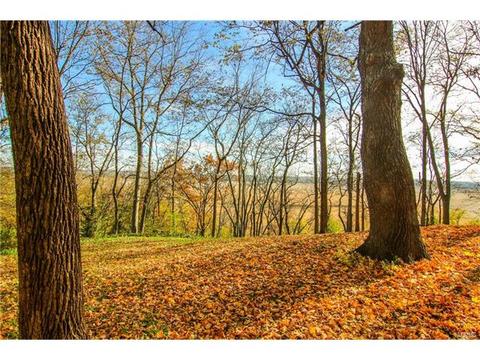 5608 Main St, Augusta, MO 63332 photo 29