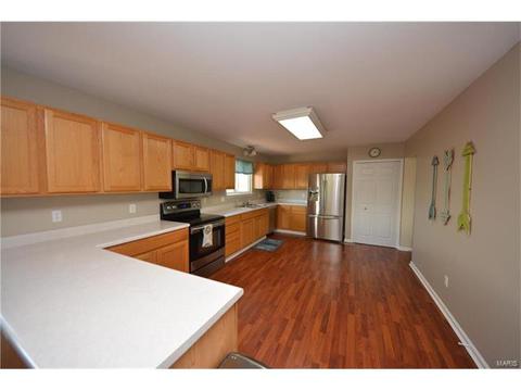 29 Quimby Ct, O'fallon, MO 63366 photo 7
