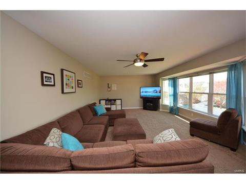 29 Quimby Ct, O'fallon, MO 63366 photo 4