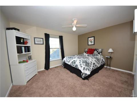 29 Quimby Ct, O'fallon, MO 63366 photo 16