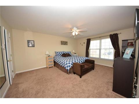 29 Quimby Ct, O'fallon, MO 63366 photo 13