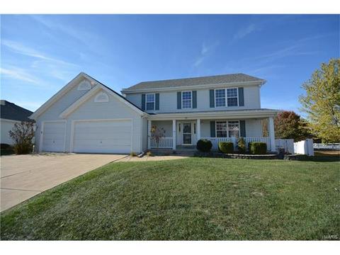 29 Quimby Ct, O'fallon, MO 63366 photo 30