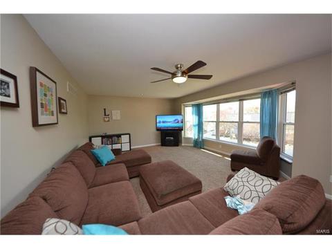 29 Quimby Ct, O'fallon, MO 63366 photo 5